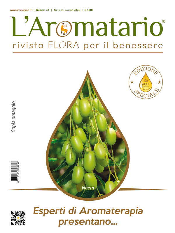 numero41